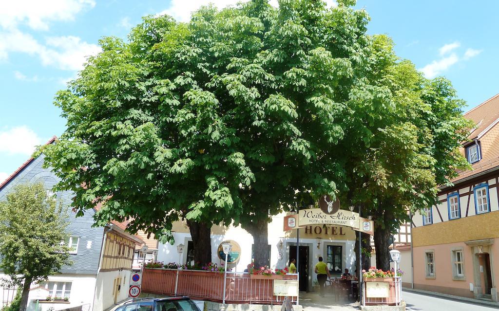 Mb Hotel Weisser Hirsch Hohnstein Ngoại thất bức ảnh